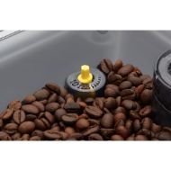 Gaggia Cadorna Milk